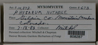 Image Associated With the Occurence